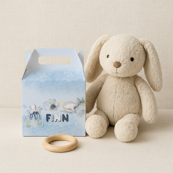 Baby-Feeding-Set-Box